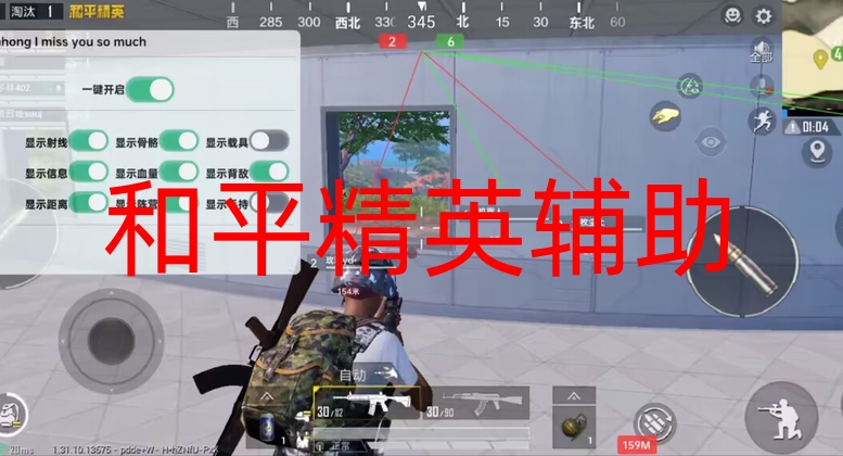 和平精英辅助-和平柯南直装的功能和教程